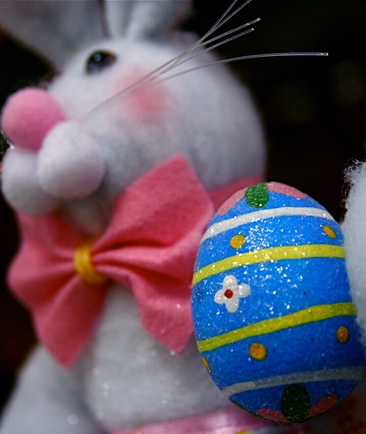 The Great Easter Egg Hunt